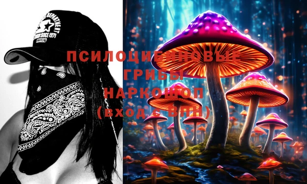 mdma Дмитровск