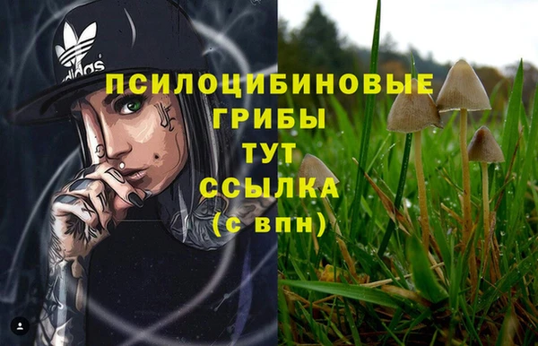 jwh Гусь-Хрустальный