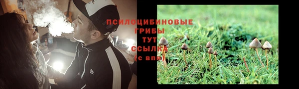 молекула духа Гусиноозёрск