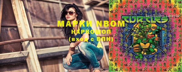 молекула духа Гусиноозёрск