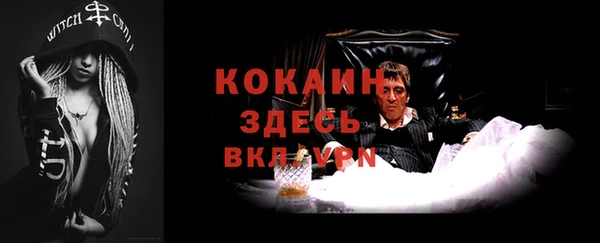 jwh Гусь-Хрустальный