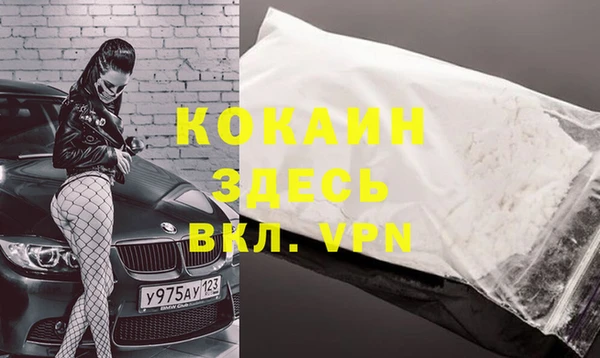 молекула духа Гусиноозёрск