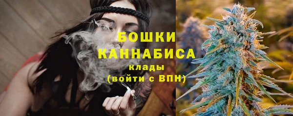 jwh Гусь-Хрустальный